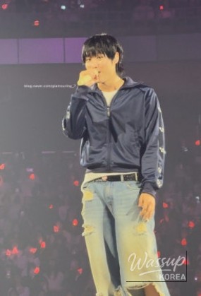 Crowded concert venue during a popular festival