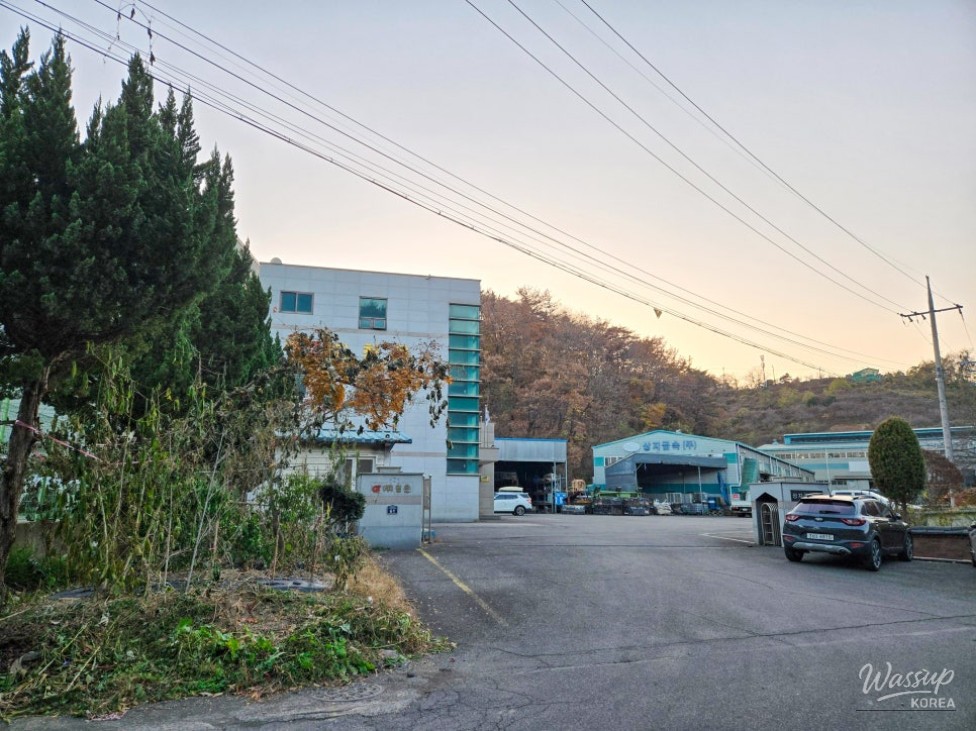 Ginkgo tree and seasonal scenery surrounding Hongpo Seowon