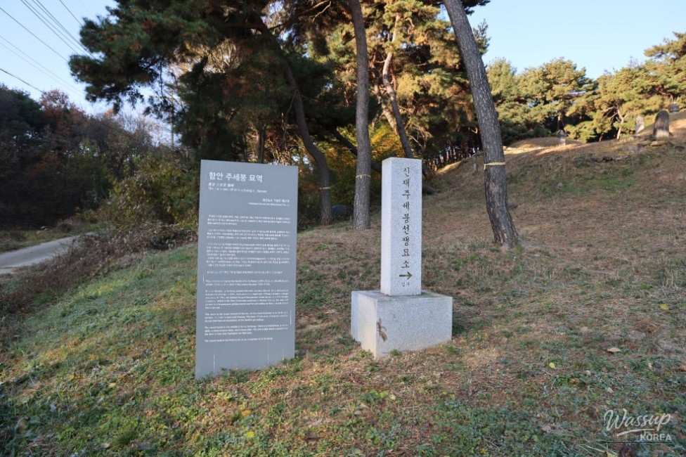 Confucian inscriptions and philosophical messages at Ju Se-bung’s tomb