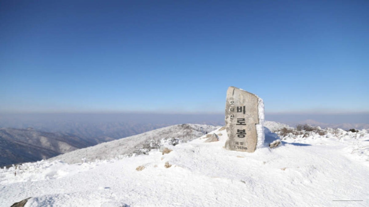 Frost flower tunnel near Birobong Peak during winter trekking