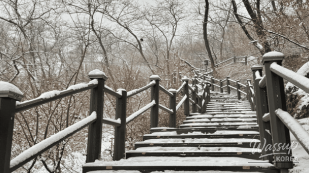 Snowy forest view from Inwangsan Forest Rest Area windows