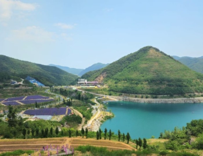 Exploring the Unique Beauty of Murungbyeolyucheon float