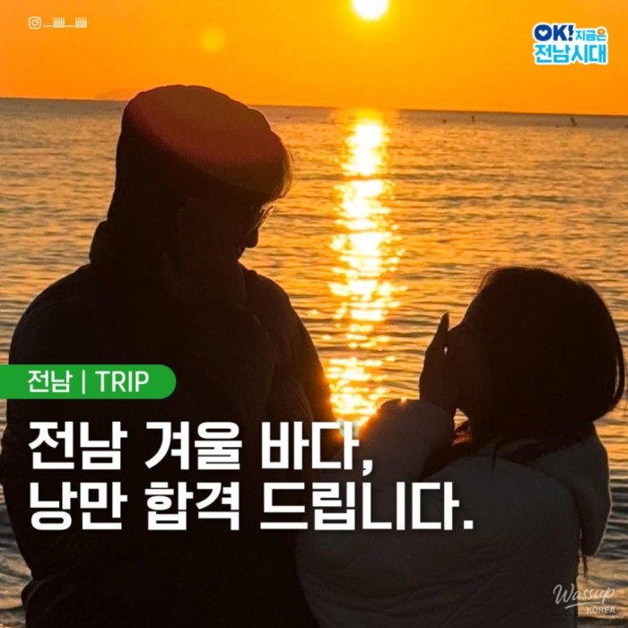 Winter's Charm: Discovering the Southern Coast of Korea1701