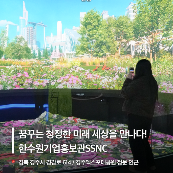 Discovering the Future of Clean Energy in Gyeongju1707