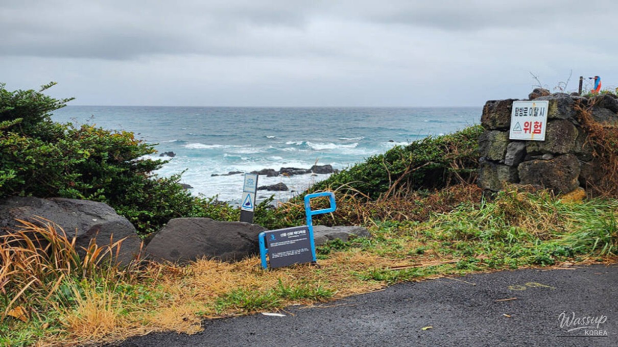 View of Sincheon Farm orange fields from Jeju Olle Trail Course 3 by the coast