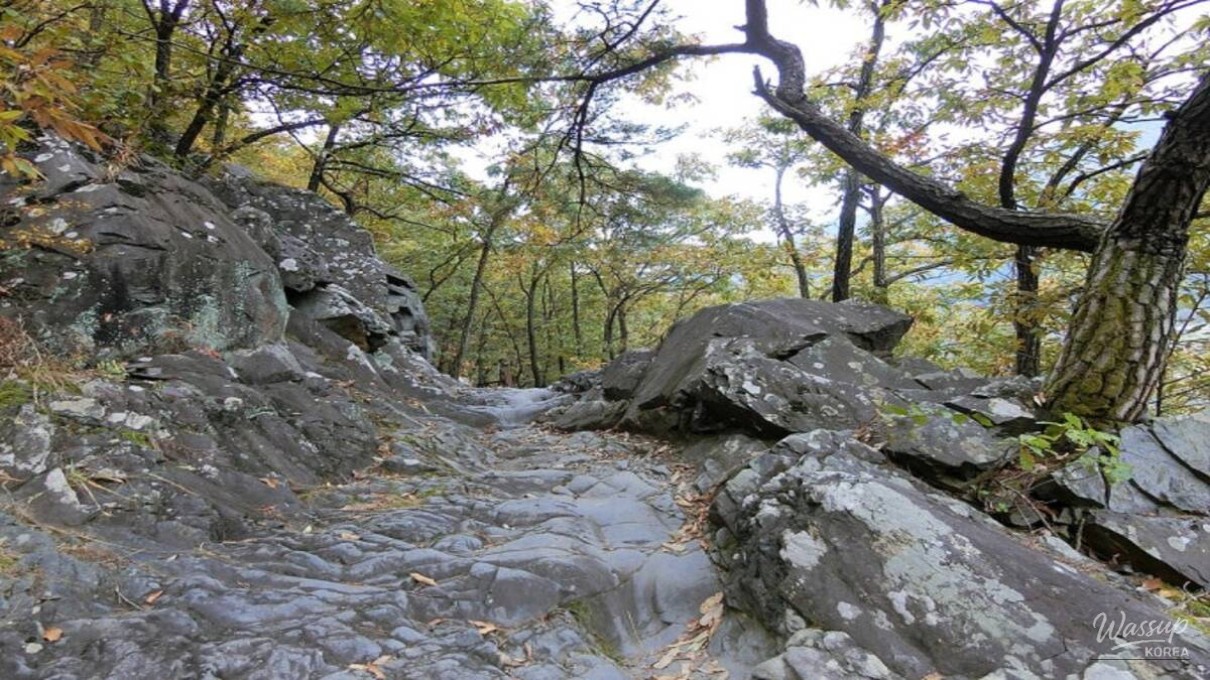 Narrow wooden deck path attached to steep cliffs on the Tokkibiri Trail