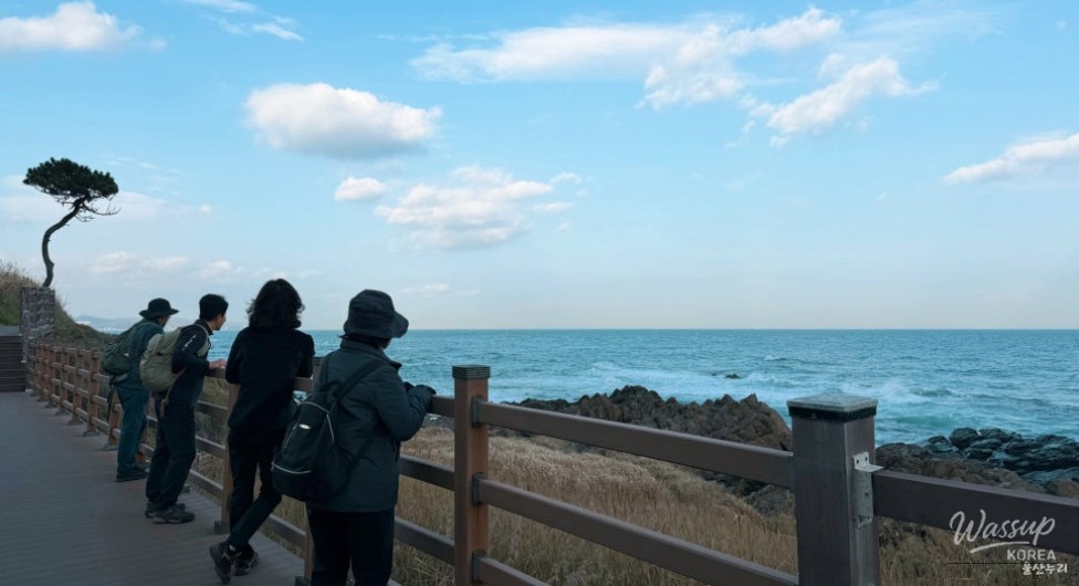 Jungja Port starting point of the Gangdong Nuri Trail with seagulls and open sea views