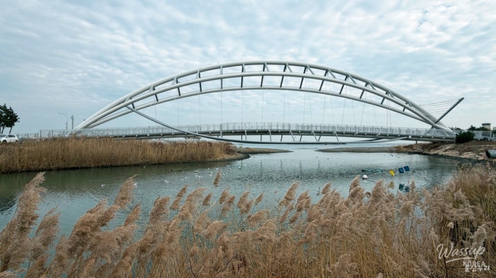 Bokseong Village section of the Gangdong Nuri Trail filled with seagulls and family walkers