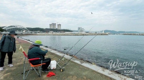 Hidden coastal deck path beyond the no-entry sign on the Gangdong Nuri Trail