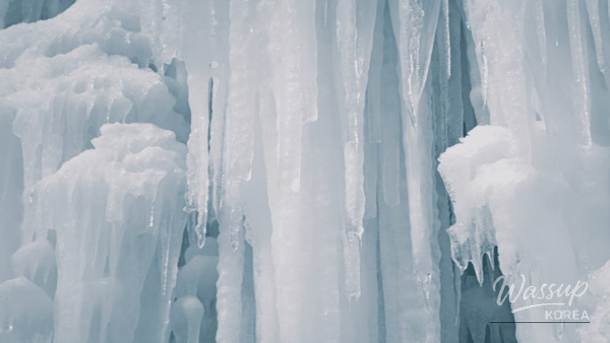 Cheongyang Alps Village ice fountain festival with glowing ice sculptures at night
