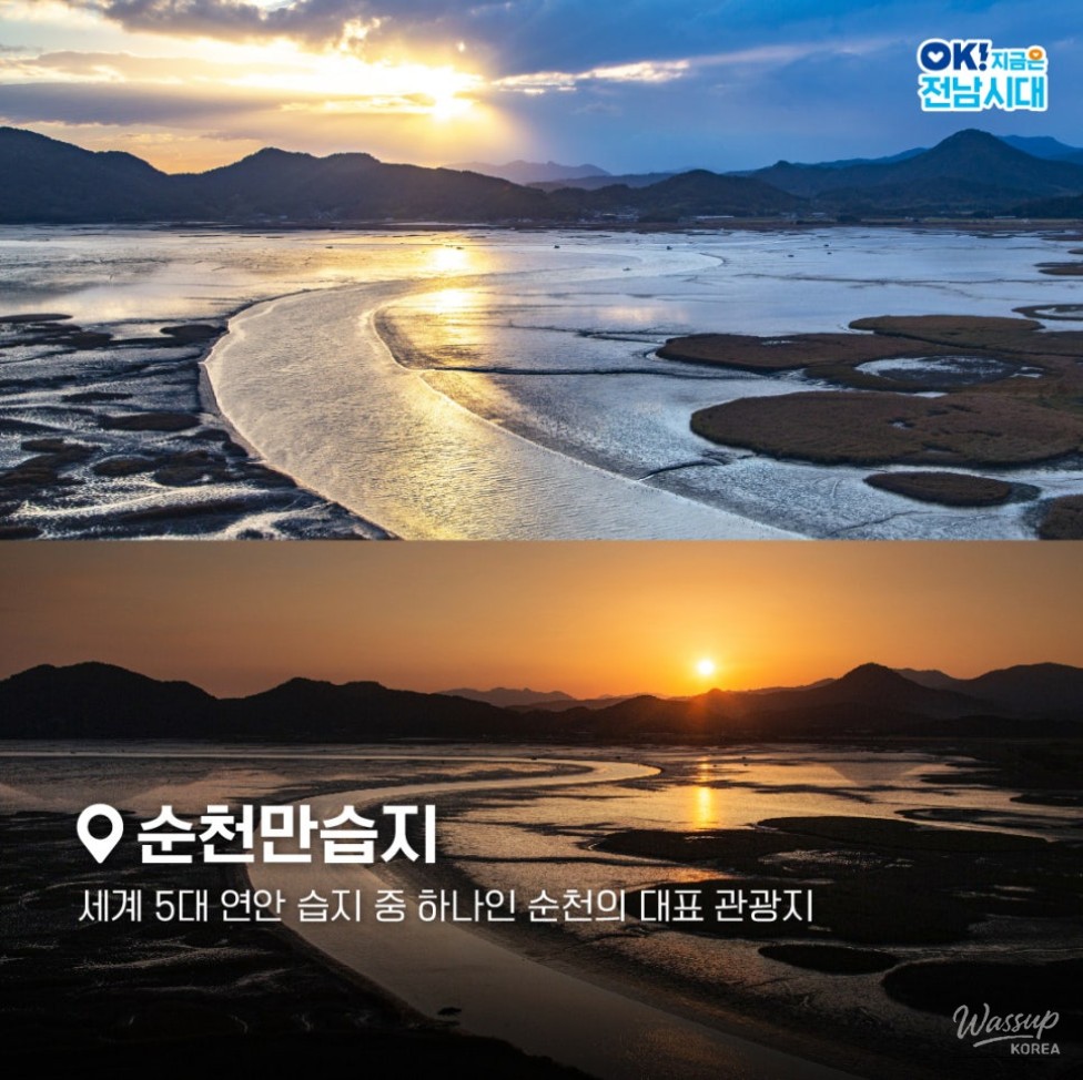 Wide wetland landscape of Suncheonman with reeds and open sky
