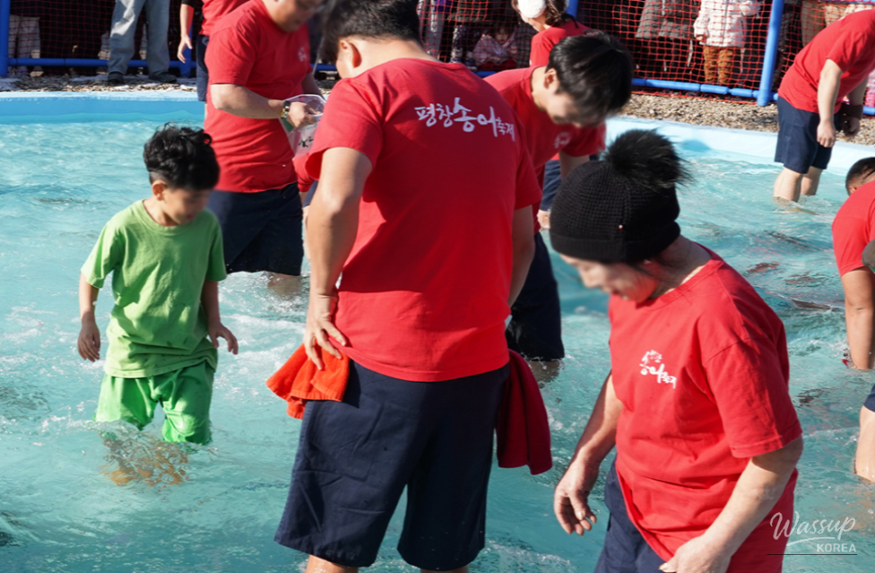Festival information board showing dates, location, and main activities
