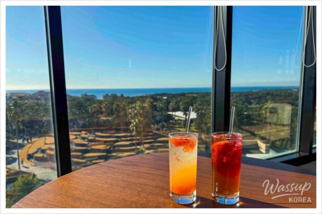 Spacious outdoor garden with palm trees at Starbucks Jeju Geumak drive-through