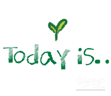 Flight schedule concept for Jeju package featuring FSC airlines like Korean Air and Asiana