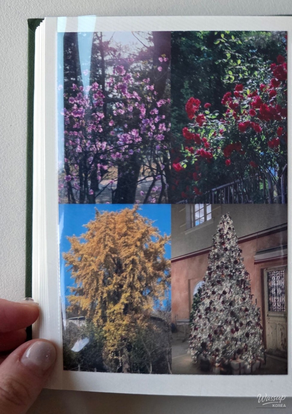 Quiet year-end reflection moment marking the transition from 2025 to 2026