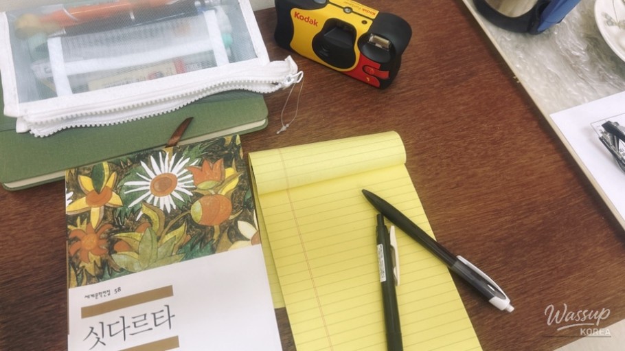 A quiet moment during solo travel marked by a chance encounter with a temple cat