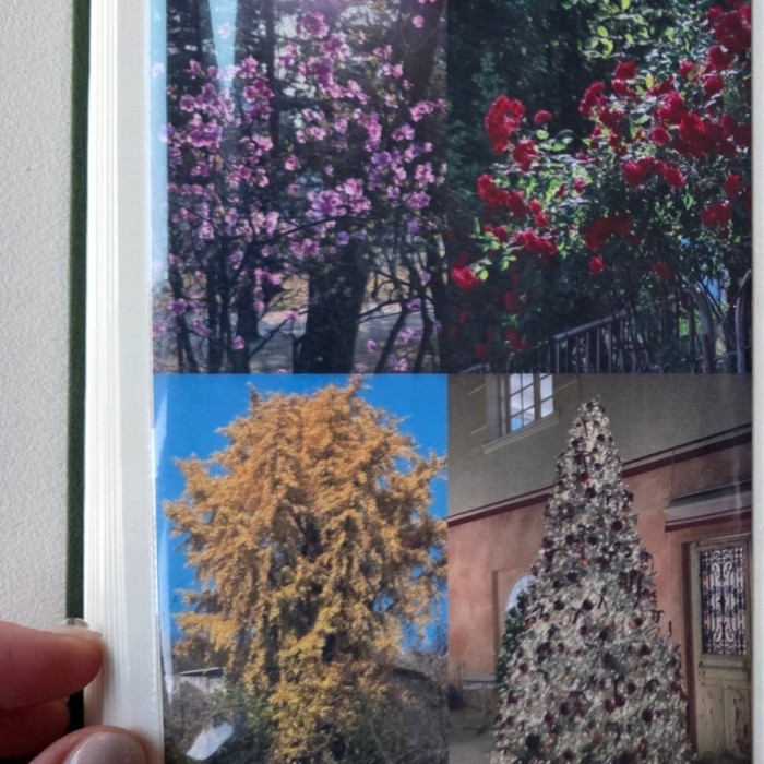 Quiet year-end reflection moment marking the transition from 2025 to 2026