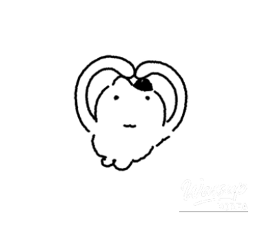 Stadium concert atmosphere with massive lighting and a fully engaged audience