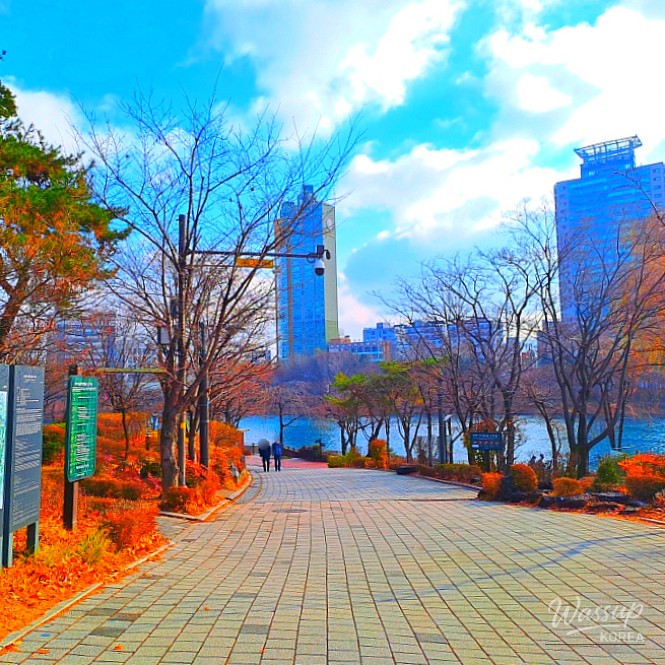 Luminary Festival light installations at Seokchon Lake creating a romantic night atmosphere