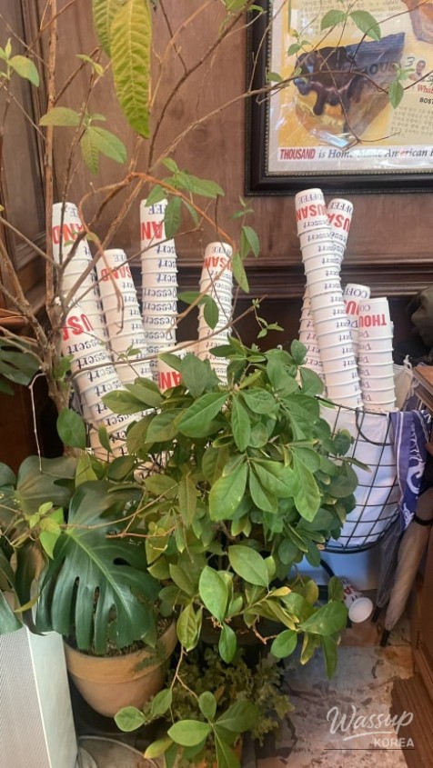 Interior detail of Seongsu Pie showing warm dessert cafe styling