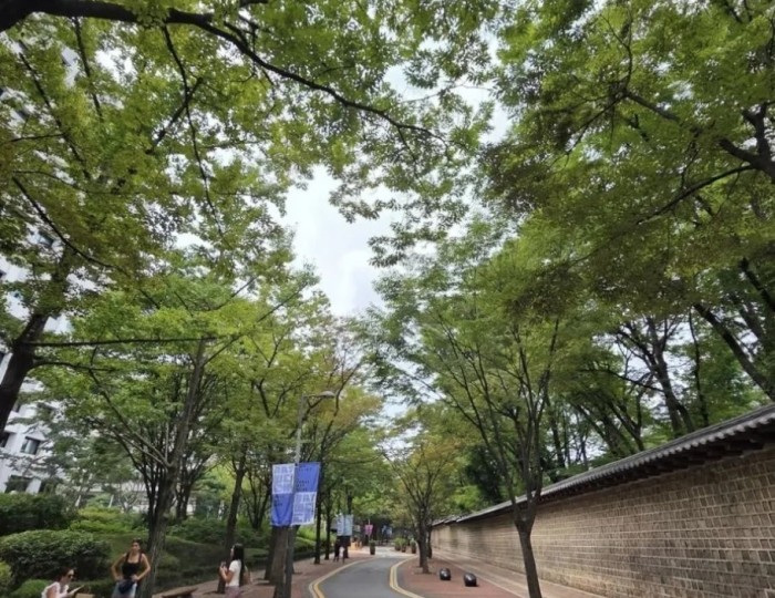 A Charming Stroll Along Jeongdong-gil float