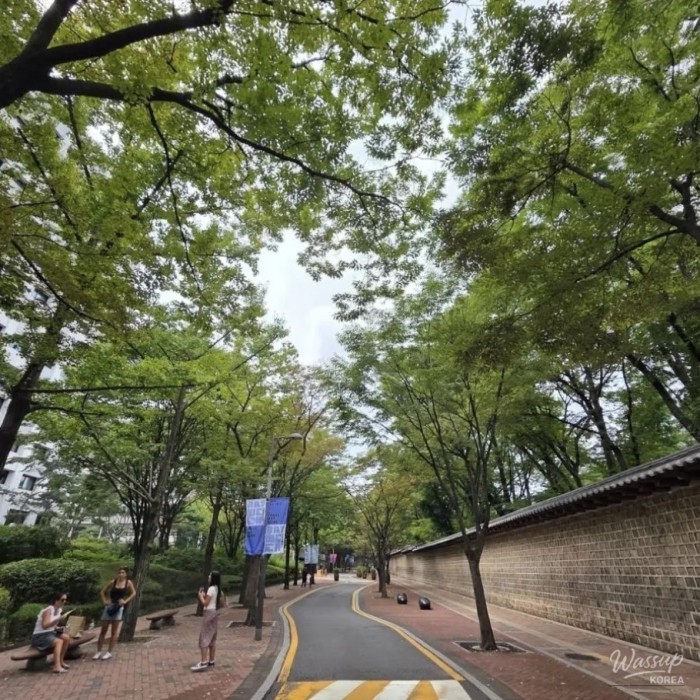 Peaceful walk along Jeongdong-gil near Deoksugung Stonewall Walkway