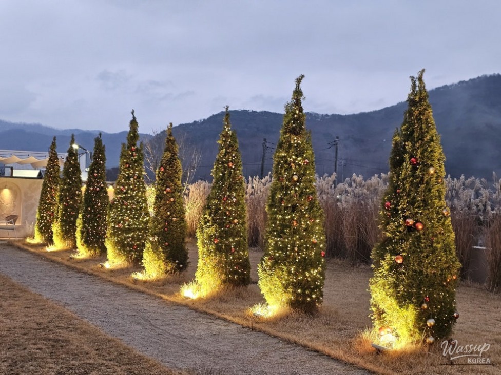 Spacious seating and large decorative tree inside Adlib Cafe in Wanju