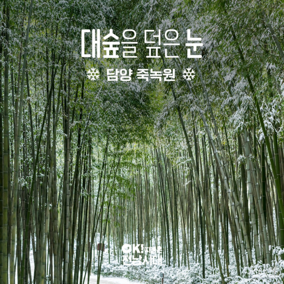 Snow-covered bamboo forest path in Damyang Juknokwon