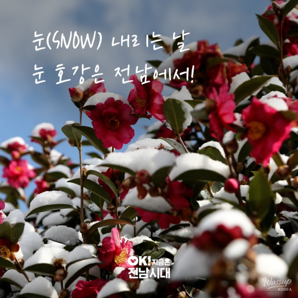 SNS-worthy winter travel spots across Jeonnam Province