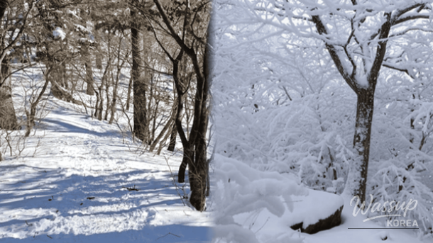 Panoramic winter mountain scenery highlighting Korea’s seasonal hiking charm