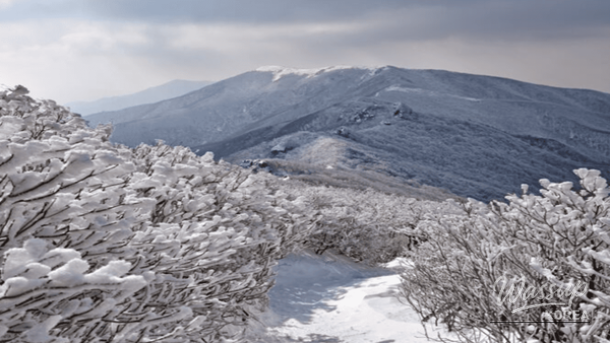 Sobaeksan winter landscape with snow-covered ridges and frost-covered trees