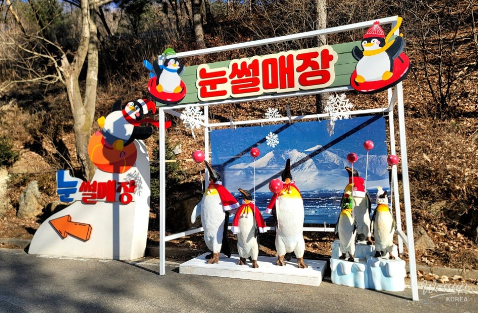 Families enjoying sledding at Yangju Snowflake Festival Sledding Park