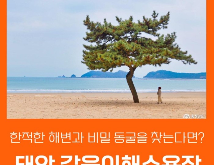 Discovering the Hidden Gem: Galmi Beach in Taean float
