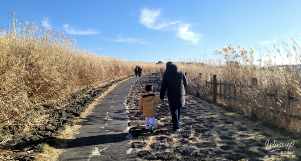 JW Marriott Jeju Hinoki room details that made the stay feel special