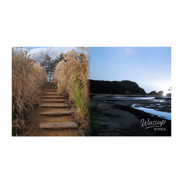 4 Winter Spots That Show the Quiet Beauty of Taean1796