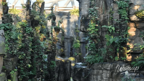 Indoor tropical plants and photo zones inside Geoje Botanical Garden