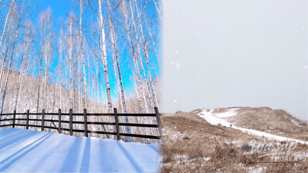 Peaceful winter scenery ideal for a short day trip in Korea
