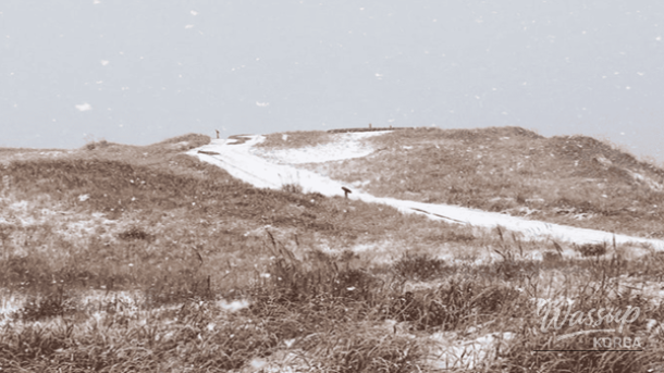 Golden sand dunes meeting the winter sea at Shinduri Coast in Taean