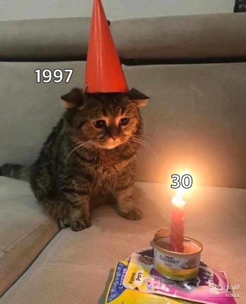 A cheerful snapshot capturing everyday moments filled with food, laughter, and small celebrations