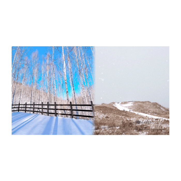 4 Winter Day Trips in South Korea Perfect for a Quick Escape1797