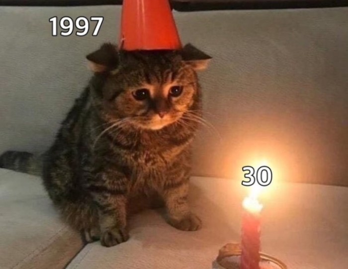 A Cozy Slice of Everyday Life in Korea, Told Through Food and Love float