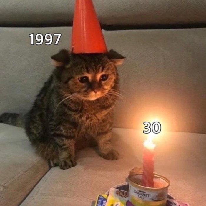 A cheerful snapshot capturing everyday moments filled with food, laughter, and small celebrations