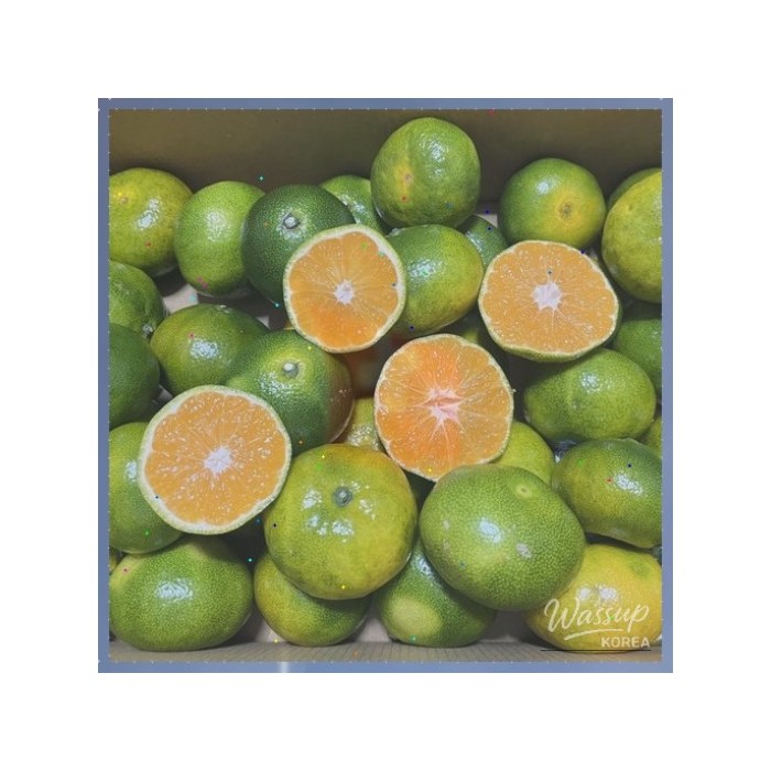 Discover the Sweet Side of Jeju Island with Its Beloved Noji Early Citrus519