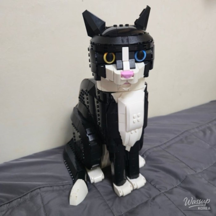 Little Adventures and Hobbies That Made Life Feel More Fun Lately1043