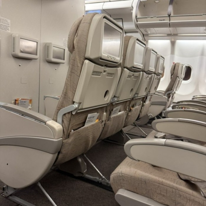 A First Step Onto the Mainland That Changed Everything1044