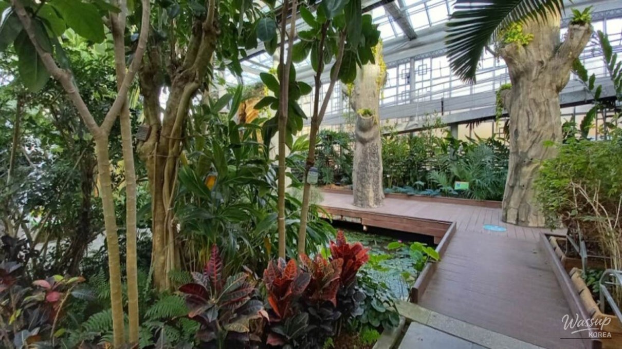 High-ceiling greenhouse interior with wooden structures and tropical plants at Gyeongju Donggungwon