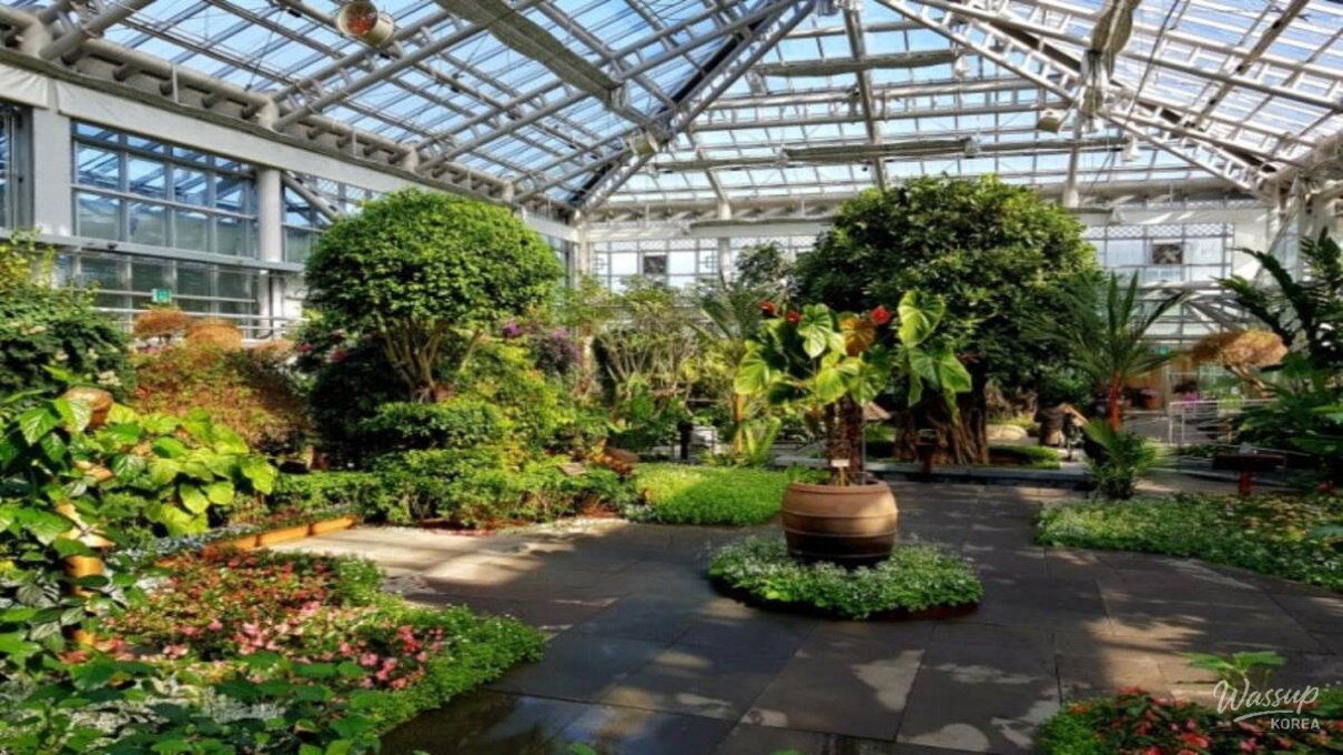 Elevated sky walkway overlooking dense tropical plants inside the Gyeongju Donggungwon greenhouse