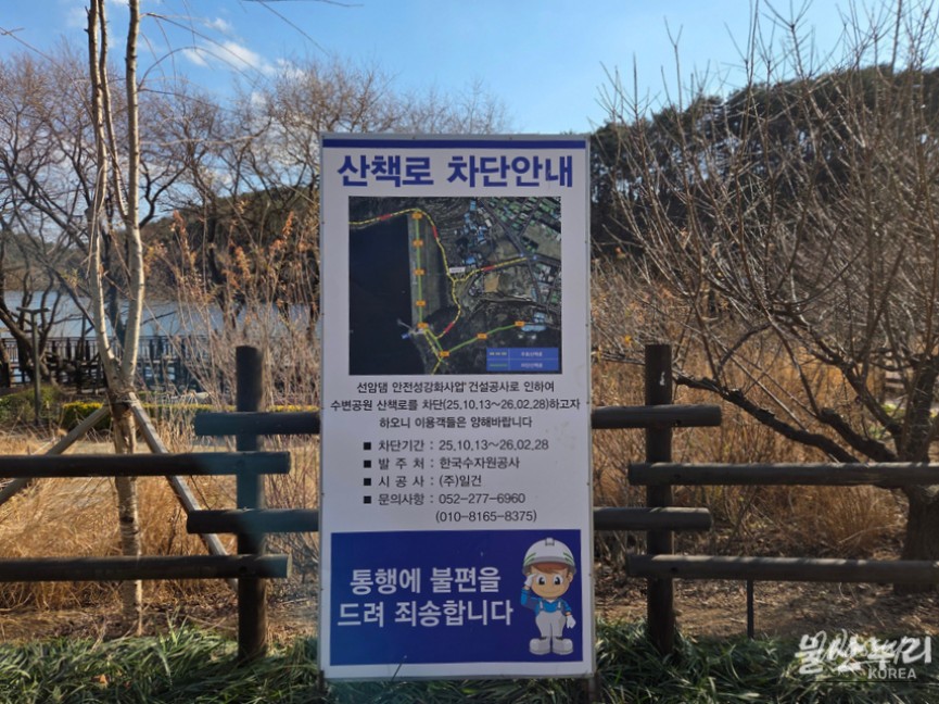 Central courtyard Christmas tree and photo zone at Seonam Lake Park