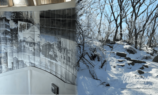 Ramen production process displayed in Harim Kitchen Road