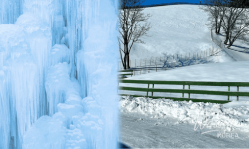 Instant rice and dumpling production zones inside Harim Kitchen Road